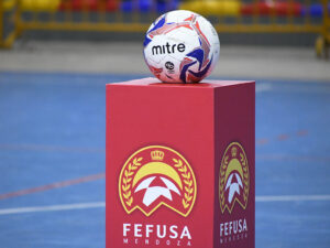 fefusa