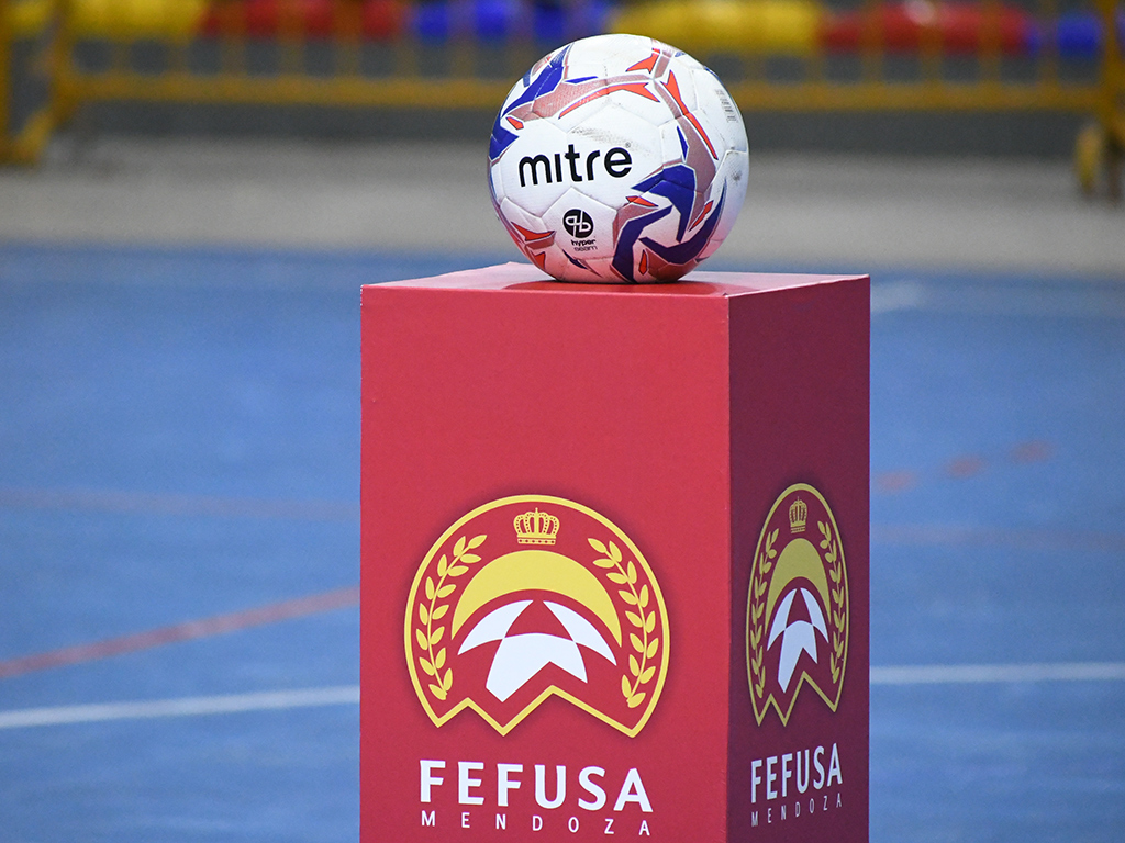 fefusa